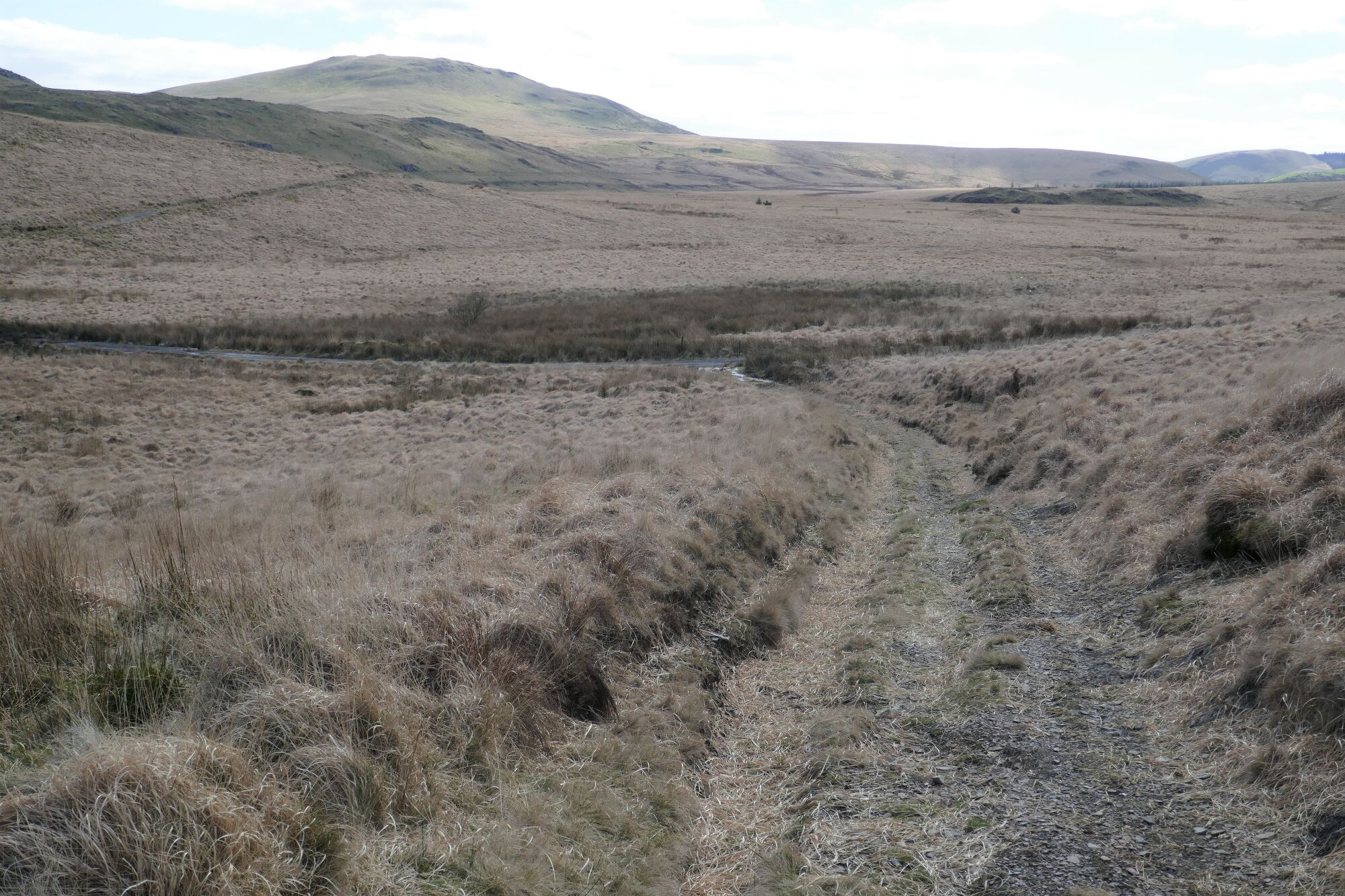 RachelSeabrook.net | Wild Walking | Cwm Cyneiniog and Craig y Pistyll | pic19
